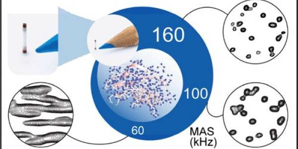 Pushing the Boundaries of Resolution in Solid-State Nuclear Magnetic Resonance of Biomolecules with 160 kHz Magic-Angle Spinning