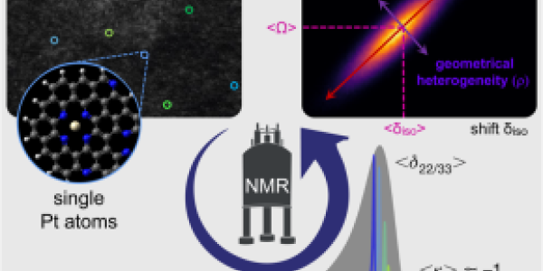 Coordination environments of Pt single-atom catalysts from NMR signatures