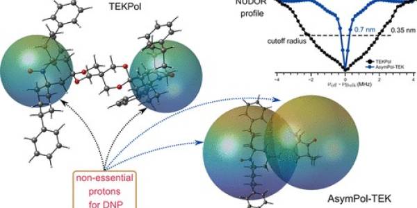 Indirect Detection of the Protons in and around Biradicals and their Mechanistic Role in MAS-DNP
